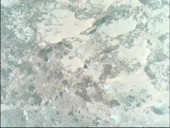 视觉导航相机下视实拍：水域与滩涂